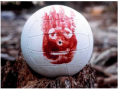 PELOTA WILSON
